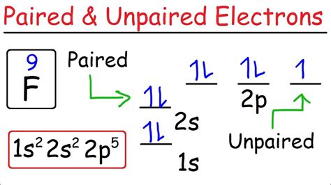 how many unpaired electrons does se have|3.1: Electron Configurations .